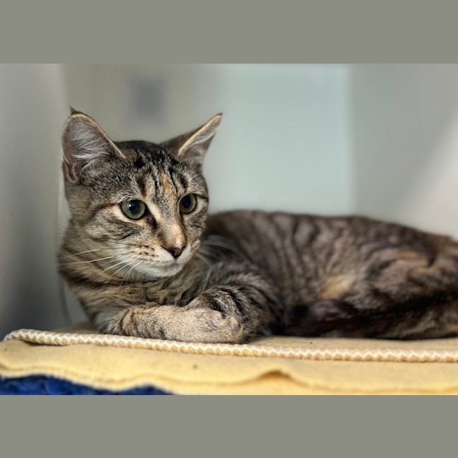 Photo of Alice