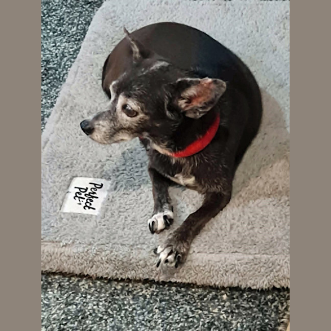 Photo of Minnie