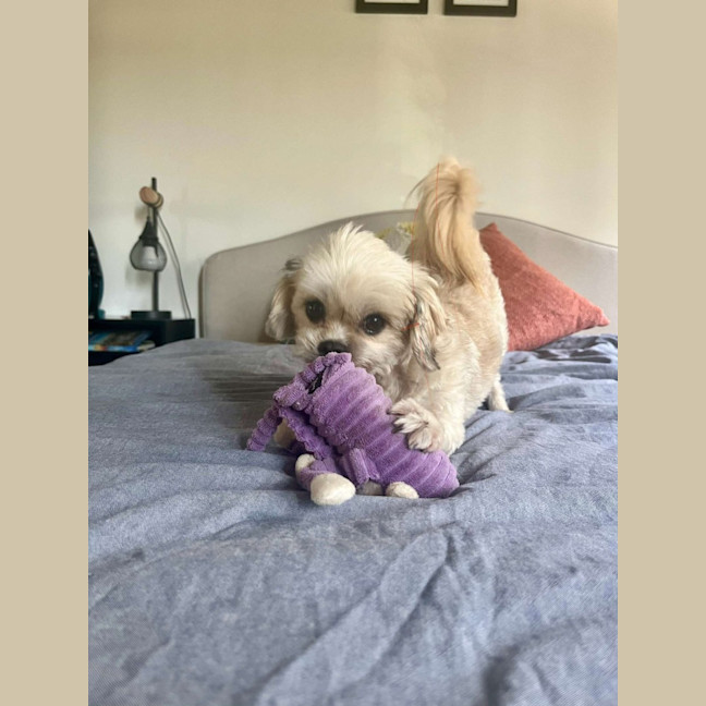 Photo of Annie