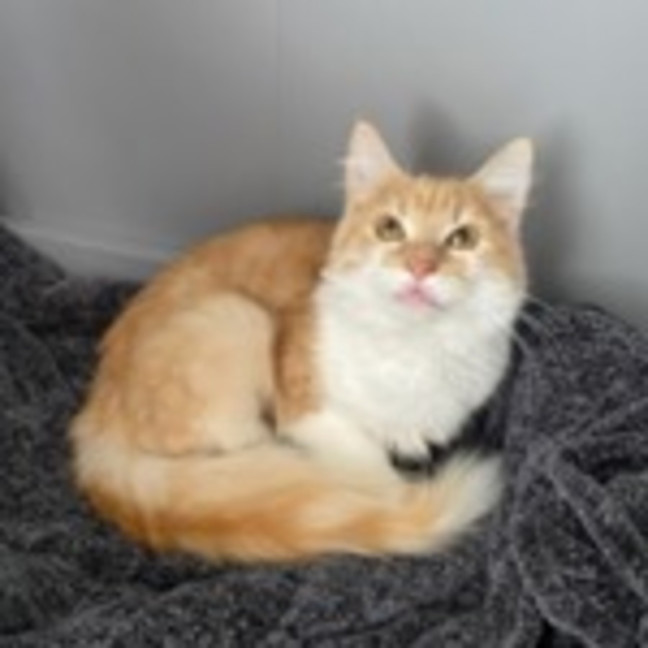 Photo of Mitzi