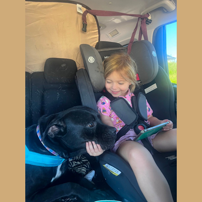 Photo of Huckleberry 