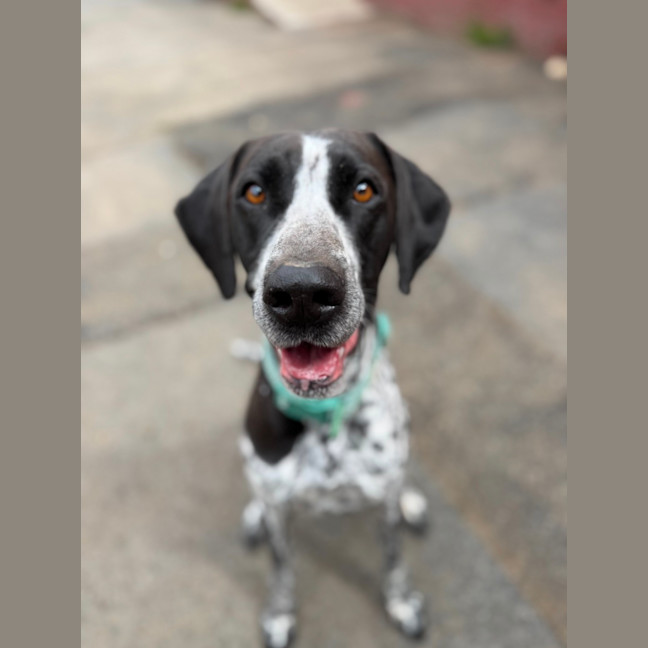 Photo of Lucy