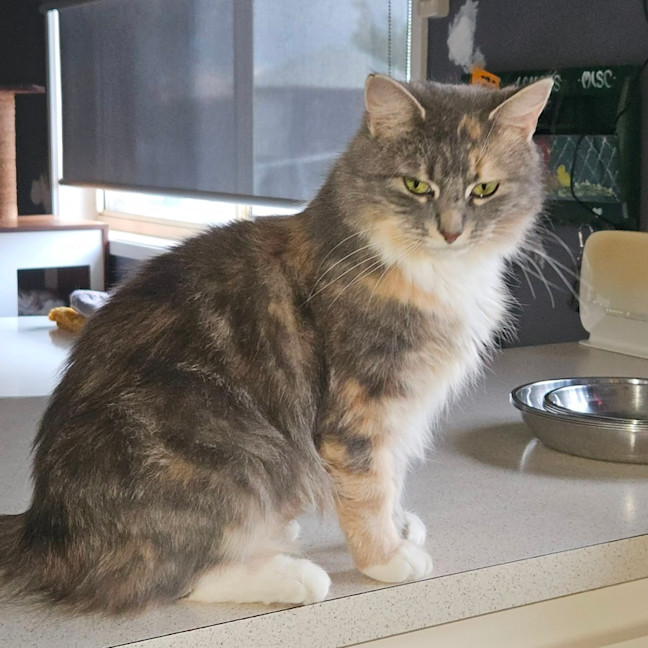 Photo of Leana