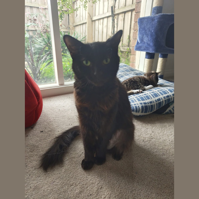Photo of Jasmine
