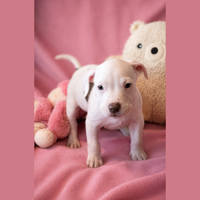 Photo of Susie