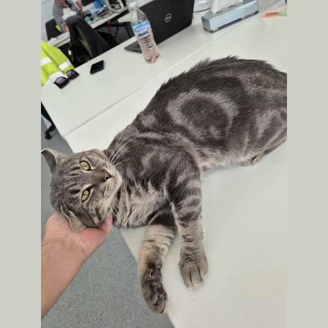 Photo of Draco! 🎩