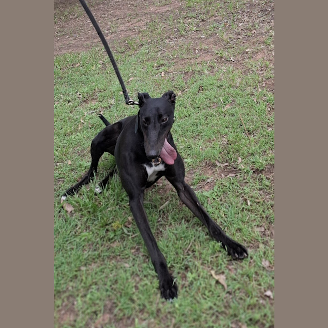 Photo of Molly