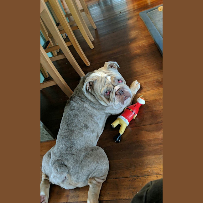 Photo of Angel
