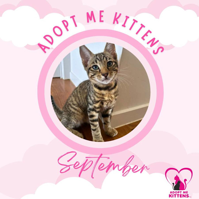 Photo of September