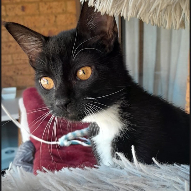 Photo of Mimi