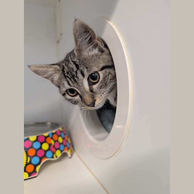 Photo of Cleo
