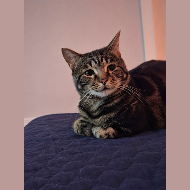 Photo of Buddy