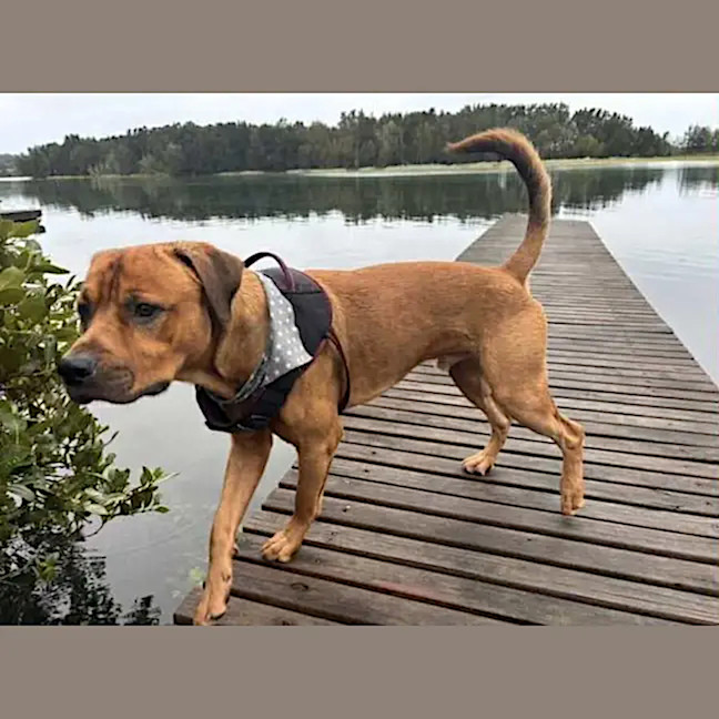 Photo of Wally