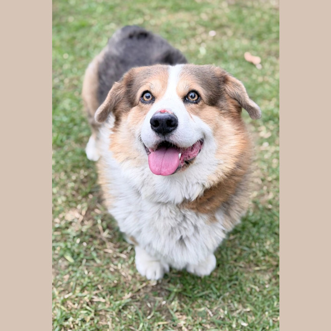 Photo of Duke