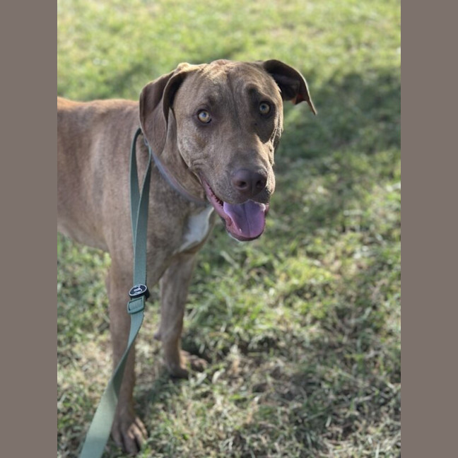 Photo of Jax