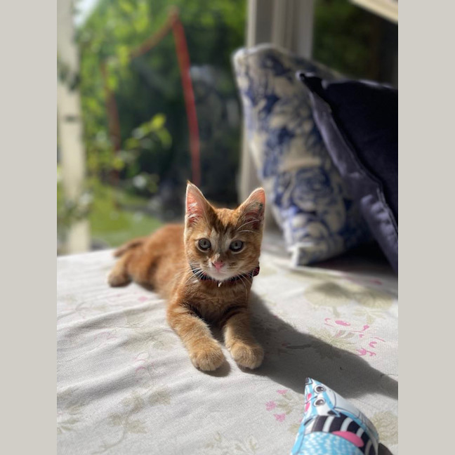 Photo of Harry