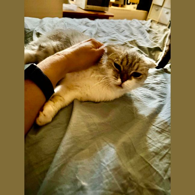 Photo of Reyne (Rain)