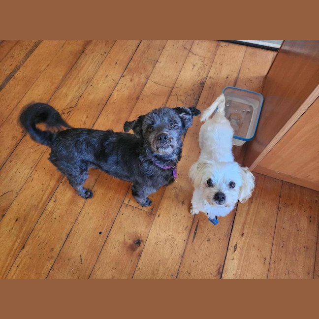 Photo of Cinder And Aj 