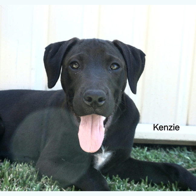 Photo of Kenzie