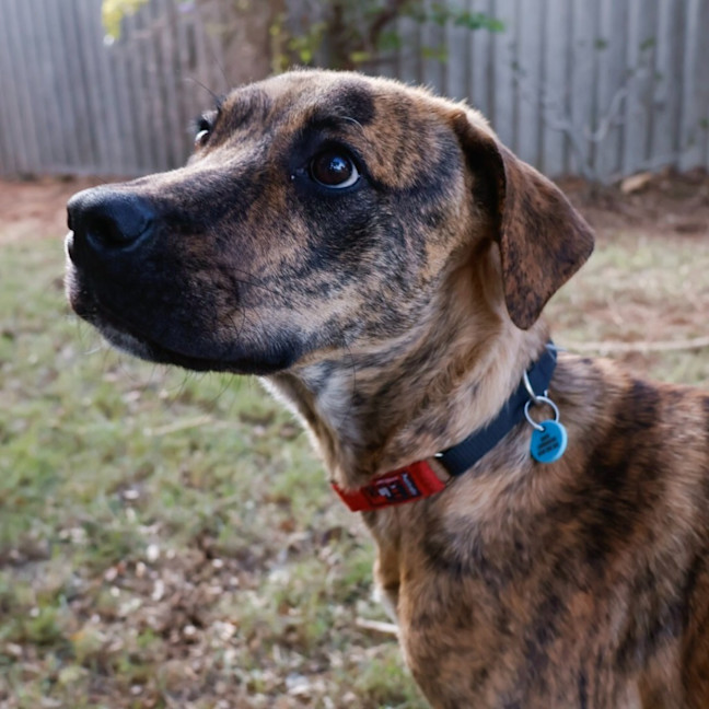 Photo of Reggie