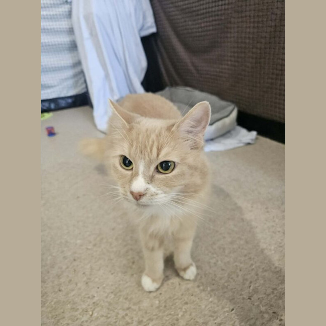 Photo of Hally