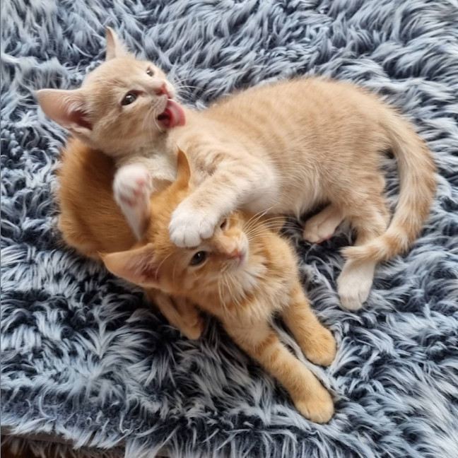 Photo of Lenny Baker