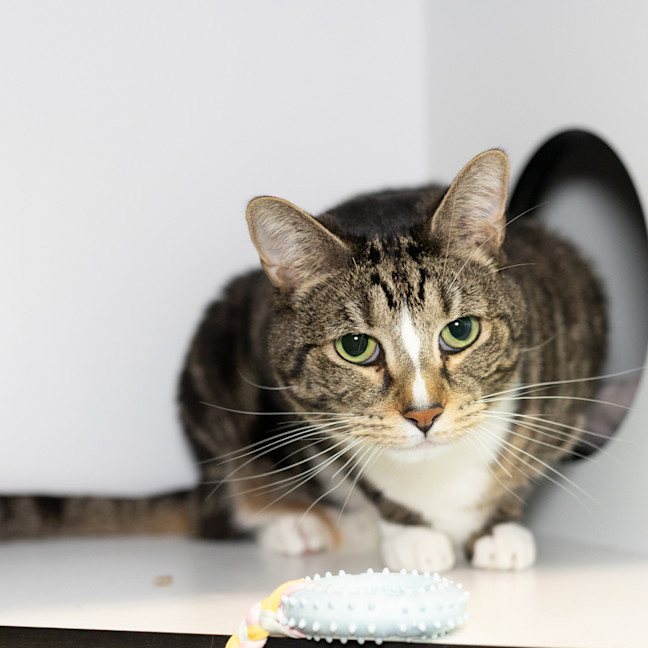Photo of Cash