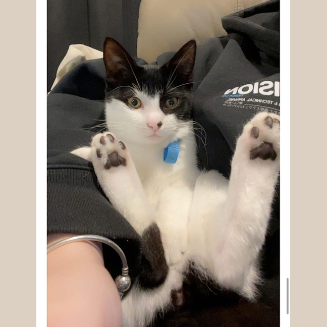 Photo of Kora (Was Echo)