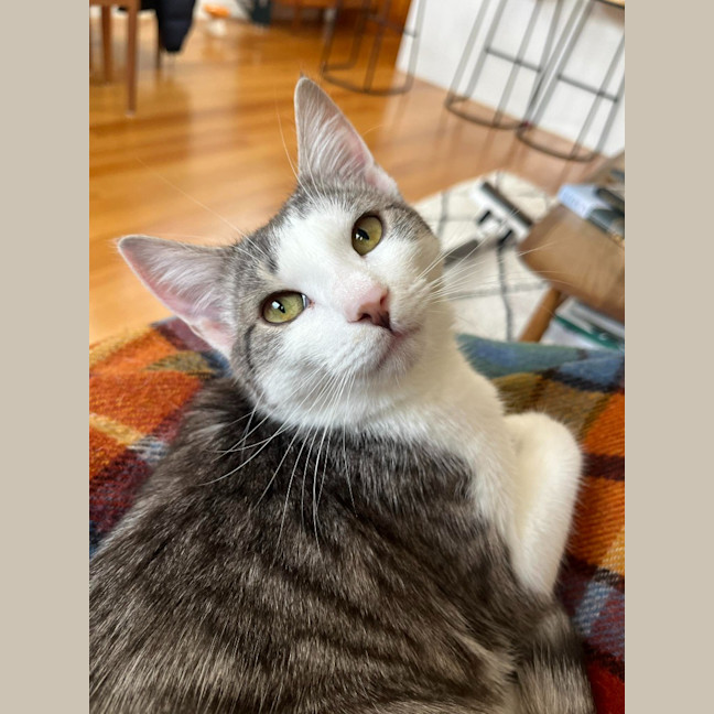 Photo of Annie