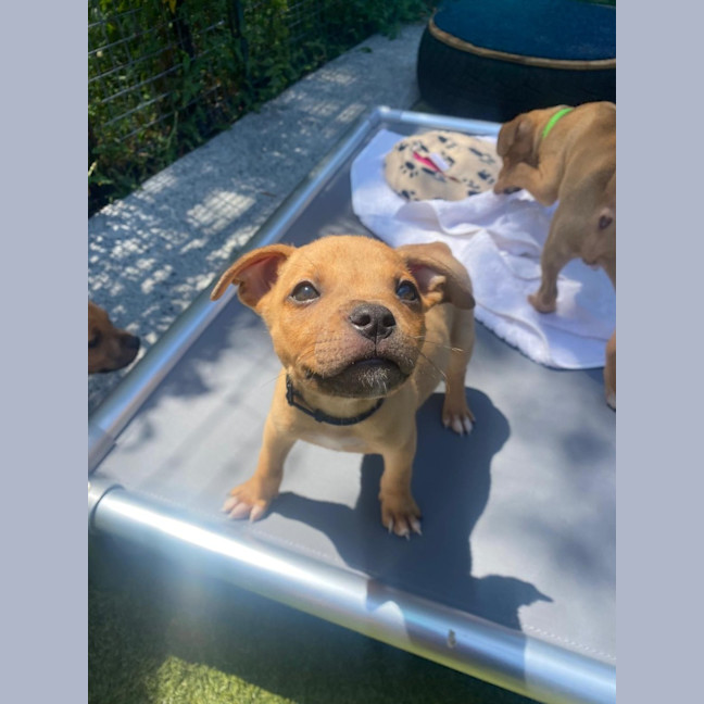 Photo of D1199 Winston