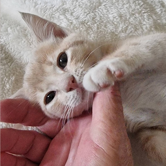 Photo of Lenny Baker