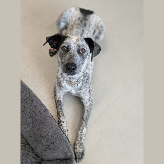 Photo of 🎀 Monica 5585 🎀