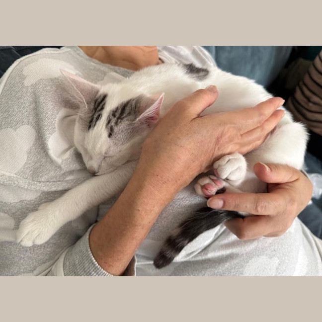 Photo of Milk Bottle