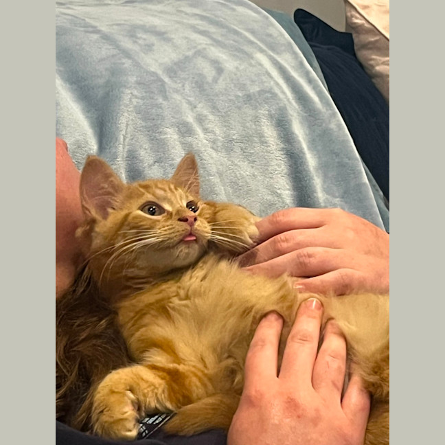 Photo of Artie