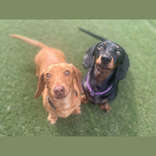 Photo of Tessa Young