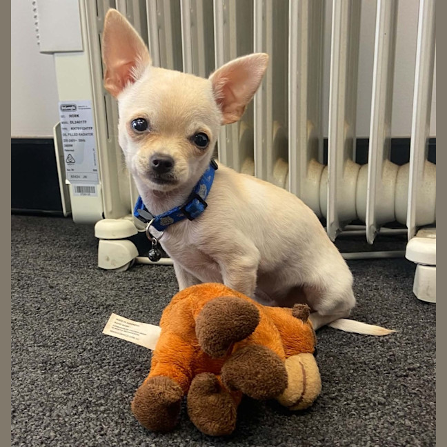 Photo of Pablo