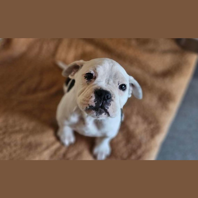 Photo of Kylo