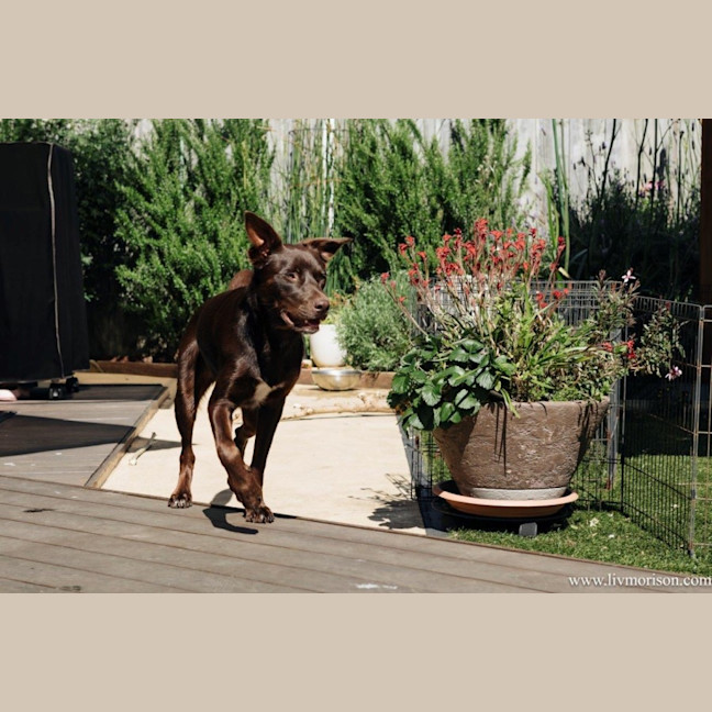 Photo of Milo Haliwell