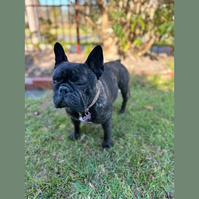 Photo of Farley
