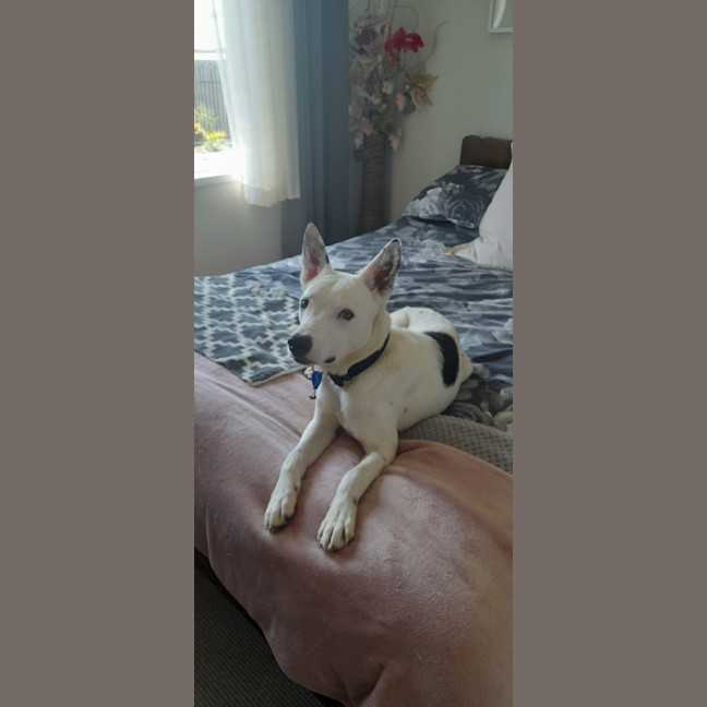 Photo of Theo