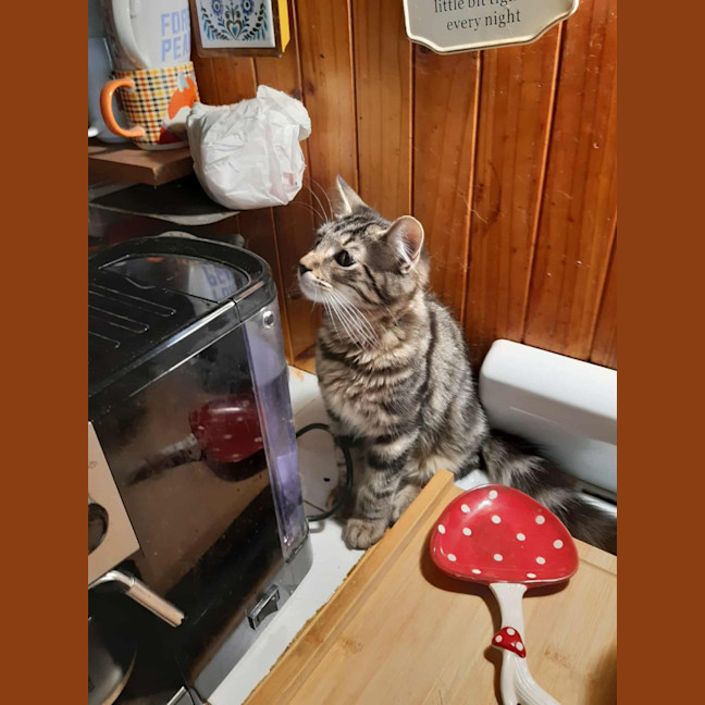 Photo of Spirit