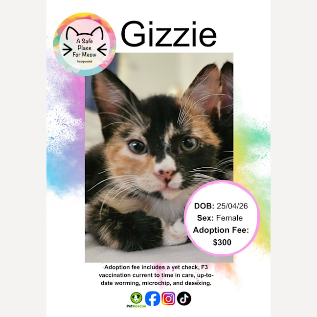 Photo of Gizzie