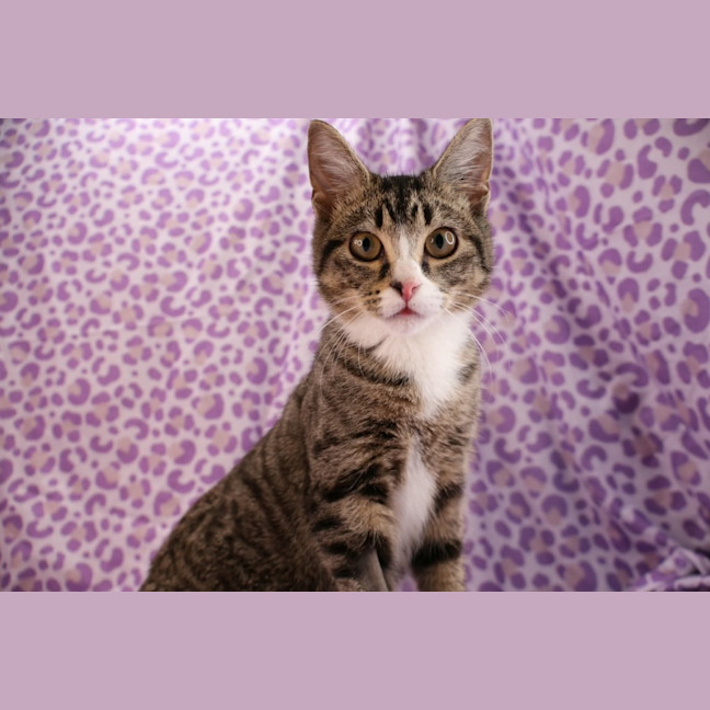 Photo of Gertrude Mc Fuzz