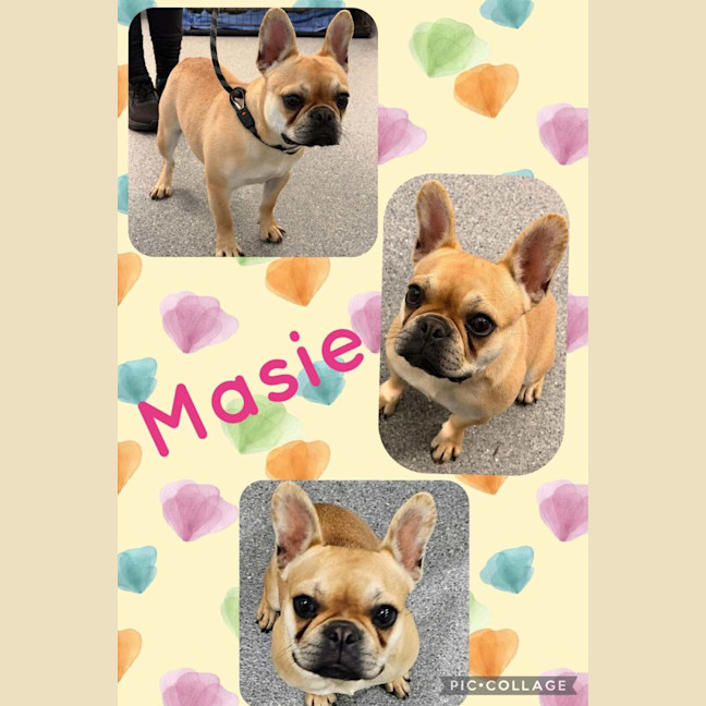 Photo of Masie