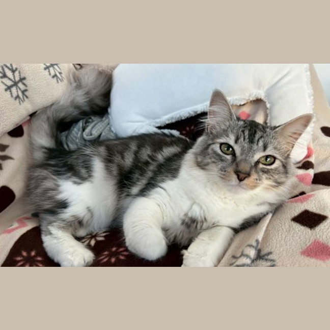 Photo of Evie