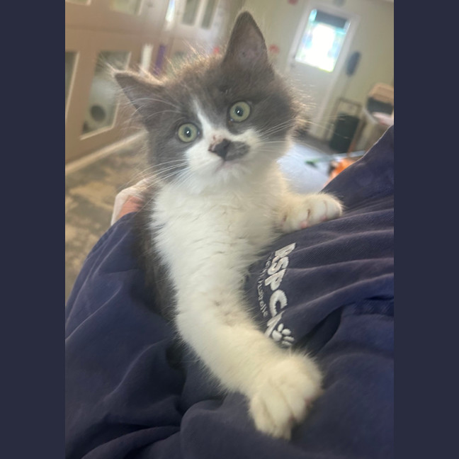 Photo of Marmite