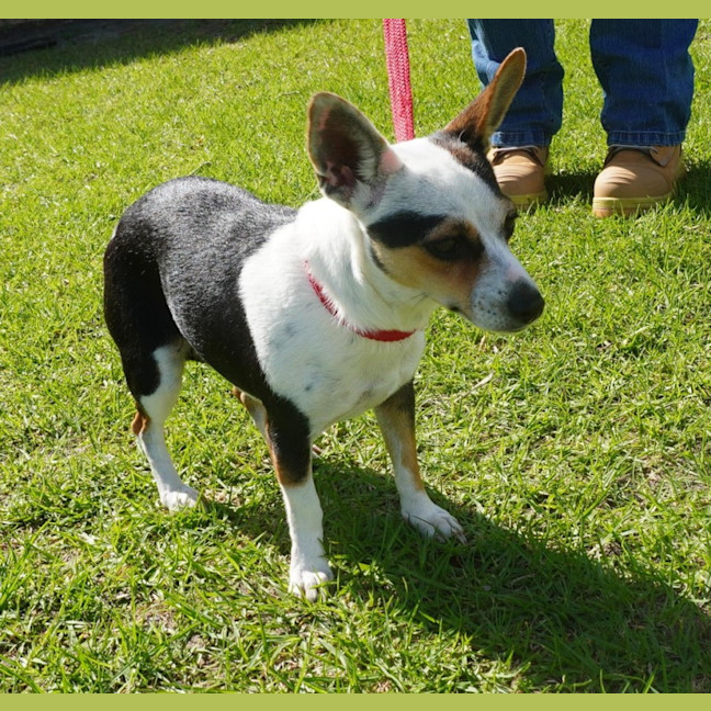 Photo of Wanda