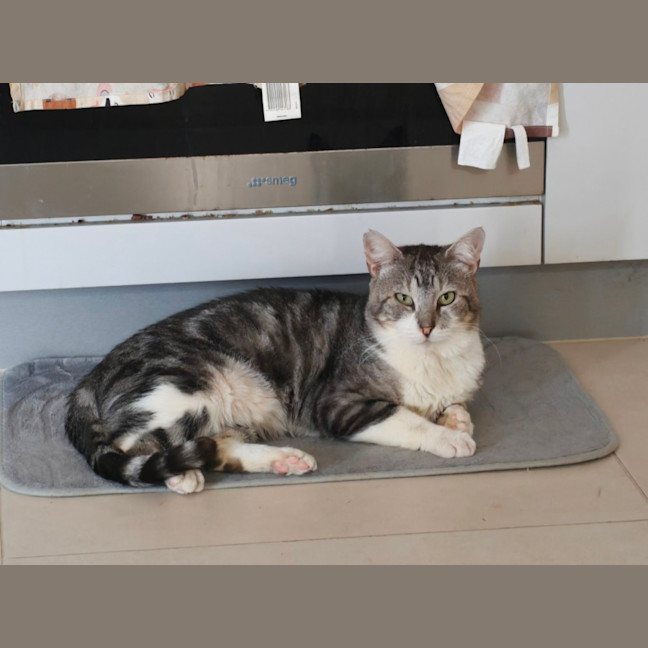 Photo of Prince & Princess