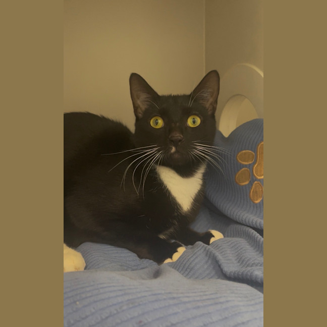 Photo of Bob