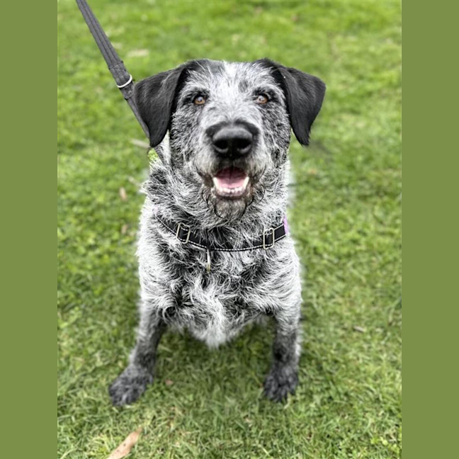 Photo of Annie